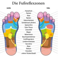 Farbiges Übersichtsbild über die Fußreflexzonen